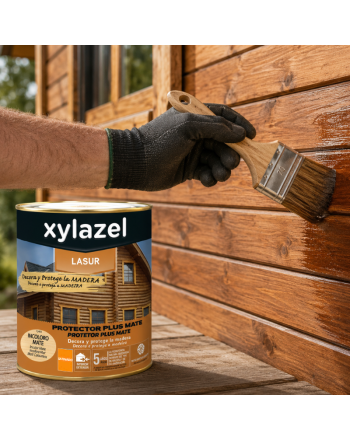 XYLAZEL Plus Satinado 5 Años